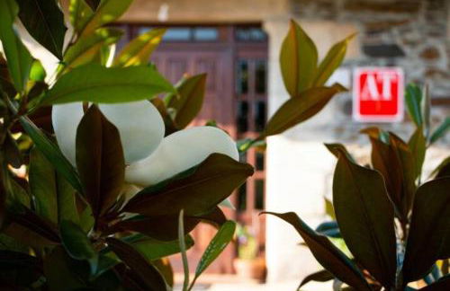 Vieiro Verde - Foto 17