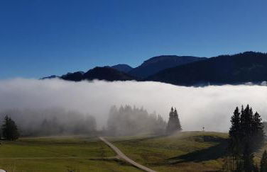 Kienberg - Modernes 2-Zimmer-Apartment im Allgäu-Stil mit Alpenpanorama in zentraler Lage in Pfronten - Foto 22