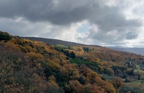 Luce di Toscana Cottage in pietra con giardino tutto in uso esclusivo - Foto 8