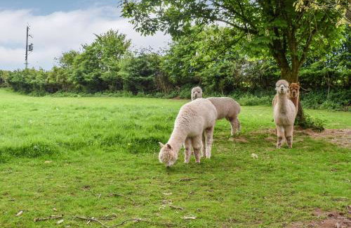 Pine Lodge - Uk30007 - Foto 26