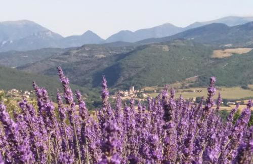 maisonnette le cabanon - Foto 19