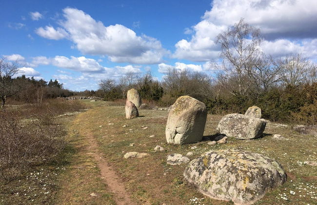 10 Person Holiday Home in Farjestaden - Foto 8