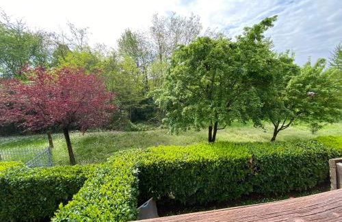 La Foresteria - Foto 6