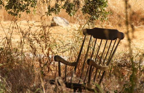 Hamlet's Friends - Foto 121