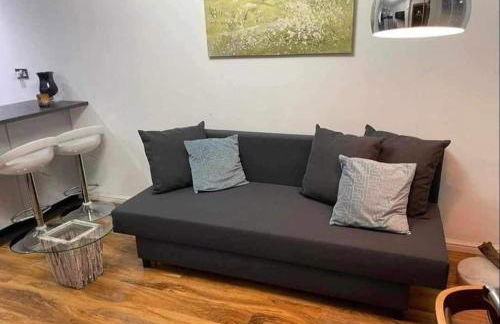 Dollis Hill One Bedroom Apartment NW2 - Foto 12