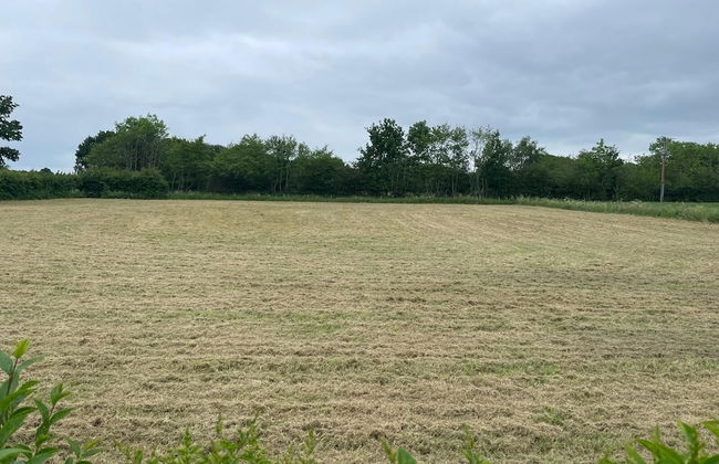 Rural Cottage-full Kitchen-pets Ok-paddock - Foto 20
