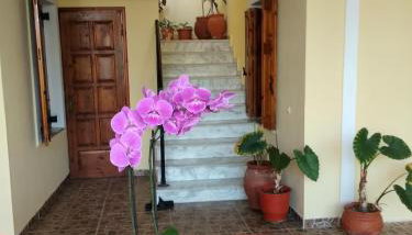 Summer Dream - Foto 3