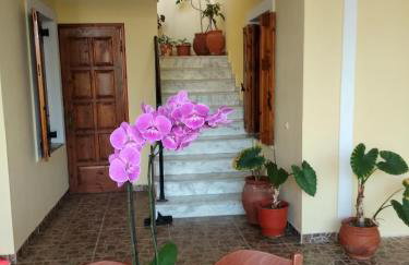 Summer Dream - Foto 3