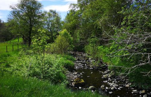 Glen Bay - 2 Bed Lodge on Friendly Farm Stay with Private Hot Tub - Foto 26