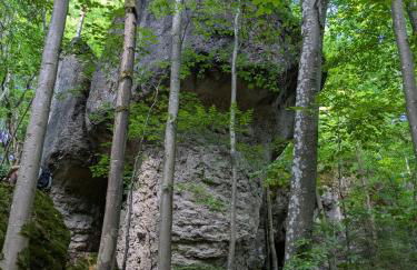 Villa Viola - Foto 32