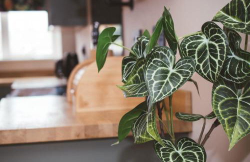 Corner House - Photo 10