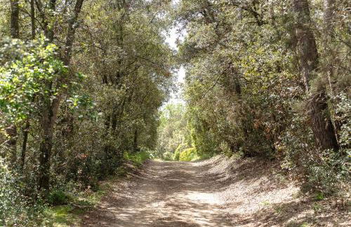 Mas Dalia - Turismo Rural - Girona - Monells, Empordà - Foto 15