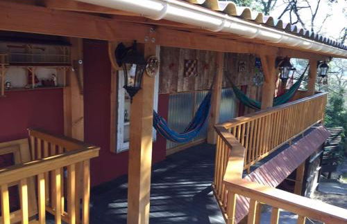 Casacoquelicot Un jardin sud-américain en Provence - Photo 16