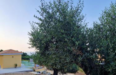 Phileo Villas - Foto 29