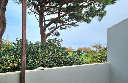 Domaine U Pozzu - Foto 29