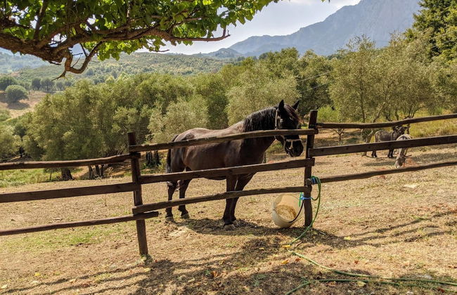 Il Rifugio del Contadino Country House - Photo 36