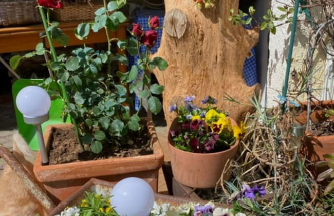 Casa Gelasio Private Pool - Foto 69