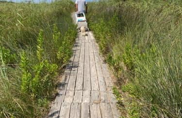 Antica casa a corte in paese - Foto 55