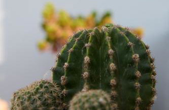 La Familia Luxury Private Maisonettes near the sea - Foto 43