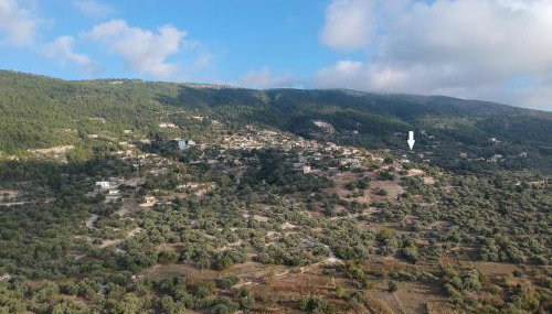 Aloni Studios & Apartments - Foto 3