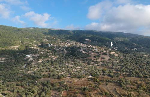 Aloni Studios & Apartments - Foto 3