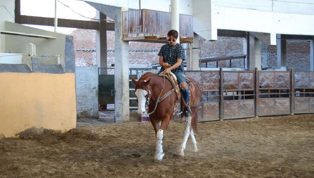Horse riding in Guadalajara