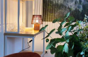 GlückAufBud Schwarzenberg WLAN Netflix Stellplatz - Foto 17