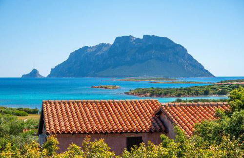 Villa Cactus, Costa Corallina - Photo 18