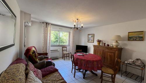 LE FIDJI, T2, 50m2, 4 personnes, proche de tout, c - Foto 1