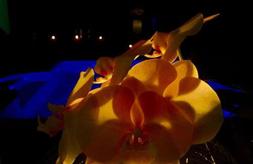 Casa Lira - Photo 37