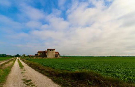 Terrace home by the pinewood - Foto 23