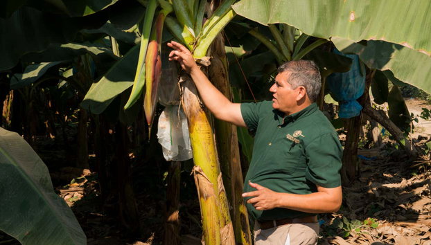 Tropical Fruit Tour - Photo 2, Learning about the different farms