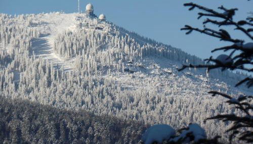 Am Waldrand - Foto 4