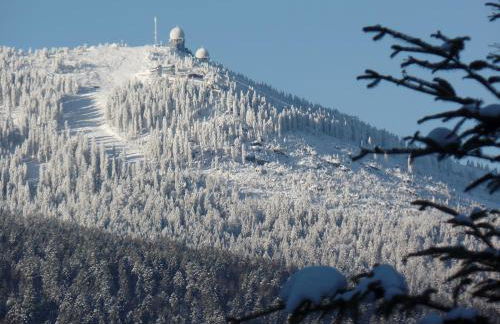 Am Waldrand - Foto 4