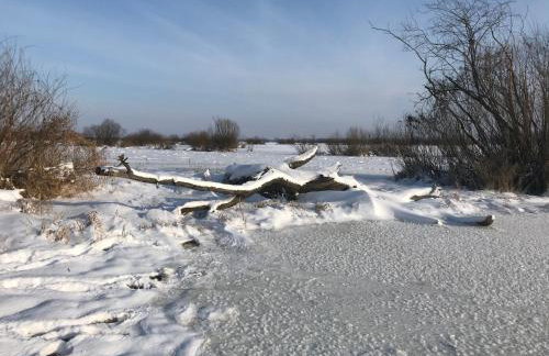 Sieburczynianka - Foto 45