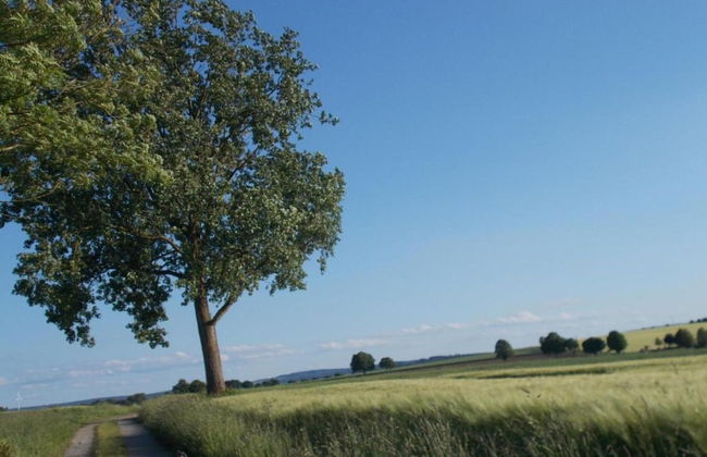 Bungalow im Feriendorf Uslar mit Gartenterrasse - Foto 30