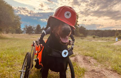 aResowa Wioska - Foto 31