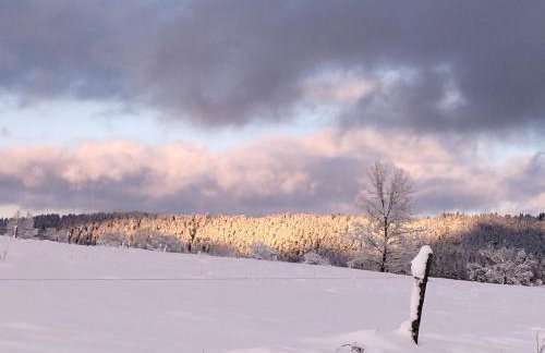 Pastelova Krova - domki w Bieszczadach - Foto 78