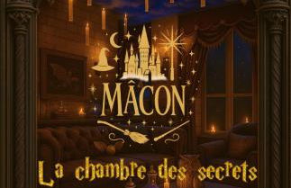 LA CHAMBRE DES SECRETS, Magique, Hyper-centre, 9 Couchages - Foto 1