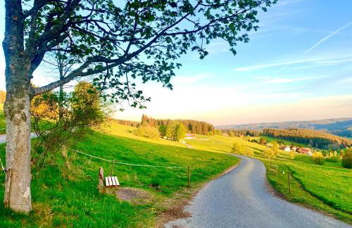 FeWo Fuchs Saig - Photo 68