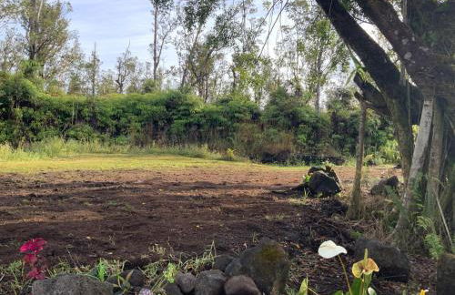 Majestic Banya tree cabin - Foto 28