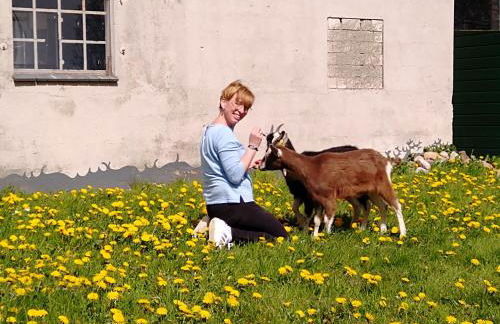 Hof Ruemland Ferienwohnungen - Photo 8