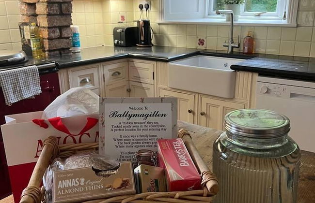 Countryside Home Located Just Outside Dublin City - Foto 12