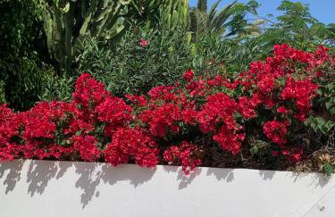 Lovely Villa Nico Playa Blanca, hot tub, communal pool - Foto 42