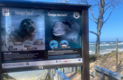 Apartament 9 Nina - Dębina - Foto 49