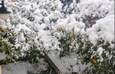 Fella Chalkida - Foto 44