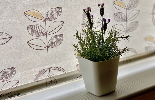 Winstanley House - Foto 20