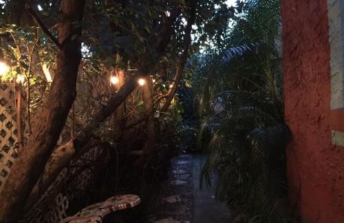 The Wild Rose - Foto 25