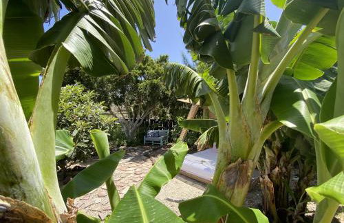 Laurisilva love spa sauna y piscina - Foto 68