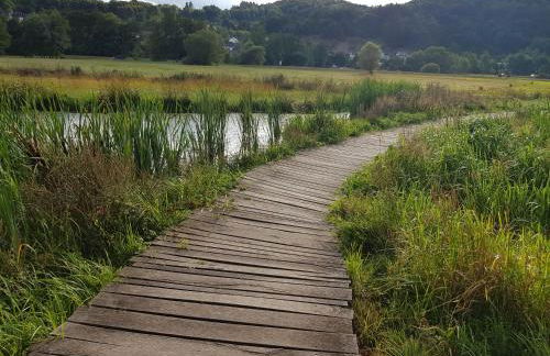 Wohnen im Springerhof - Foto 57